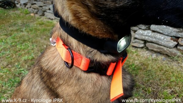 Testování čelovky Decathlon ONnight 50 jako osvětlení záchranářského psa